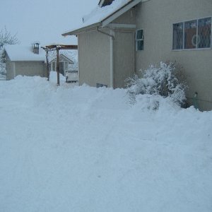 Dec_1_snow_day_021