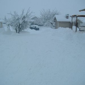Dec_1_snow_day_022