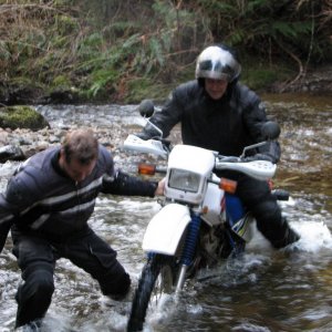 Pull!