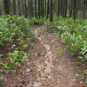 Scotty905,Loz,Mud-Ectomy Hill