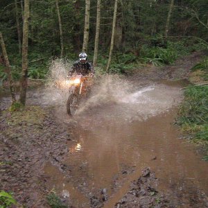 Lots of deep ponds