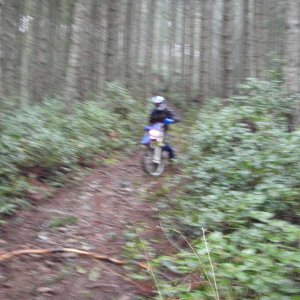 Maple Mountain - January 19