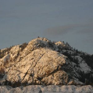 Salmon_arm_091