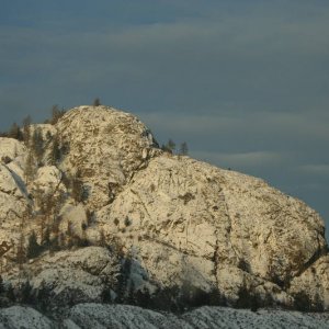 Salmon_arm_092