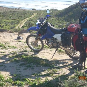 Baja 2008