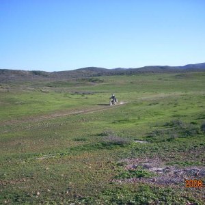 Baja 2008