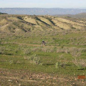 Baja 2008