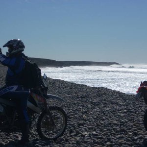 Baja 2008