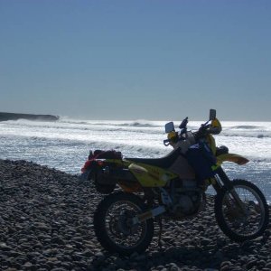 Baja 2008