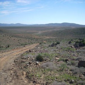 Baja 2008