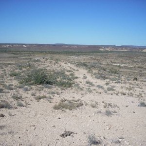 Baja 2008