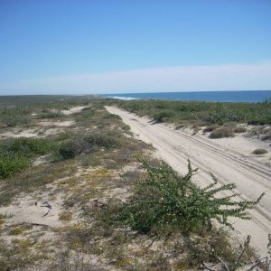 Baja 2008