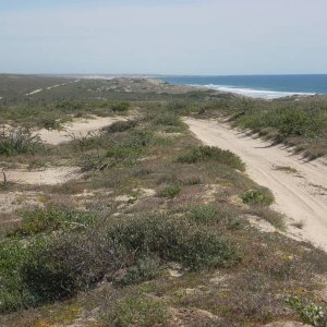 Baja 2008