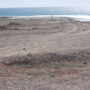 Baja 2008
