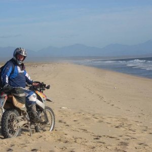 Baja 2008