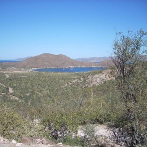 Baja 2008
