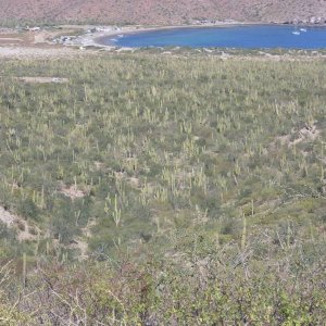 Baja 2008