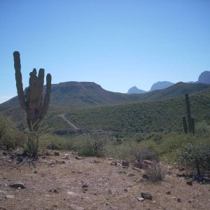 Baja 2008