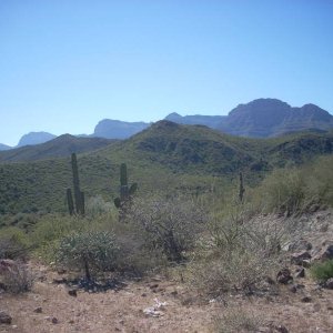 Baja 2008