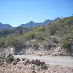 Baja 2008