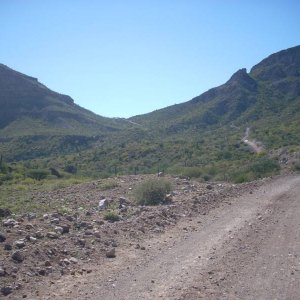 Baja 2008
