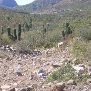 Baja 2008