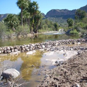 Baja 2008