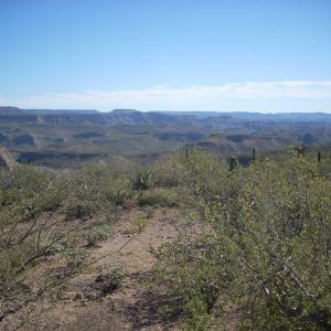 Baja 2008
