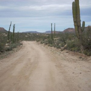 Baja 2008