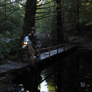 Firetrail Bridge