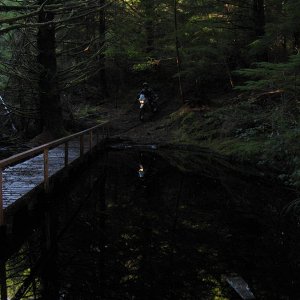 Firetrail bridge
