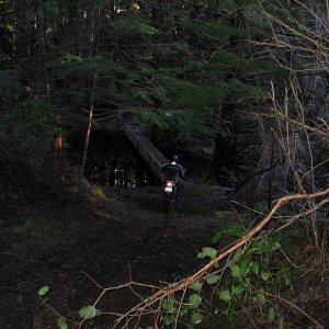 Firetrail bridges