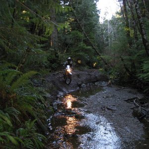 Malms pond trail creek