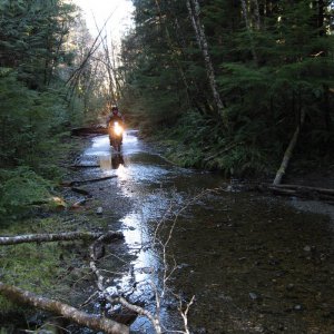 Malms pond trail creek