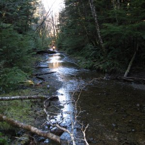Malms pond trail