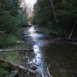 Malms pond trail