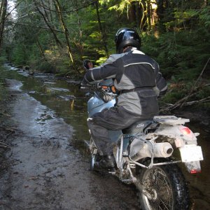Muddy KTM