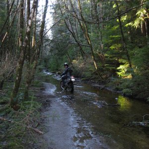 Malms pond trail