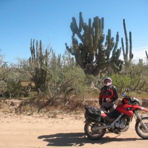 Baja 2008 JJ