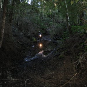 Octopus trail waterhole