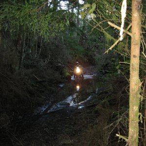 Octopus trail