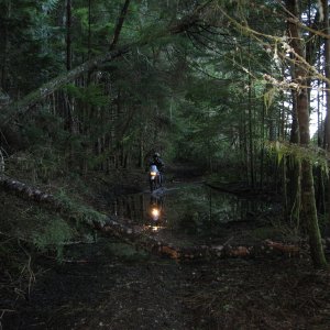 Waterhole # 5