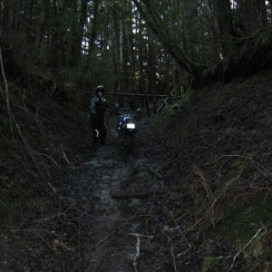 Lost traction