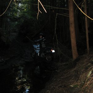 back on trail