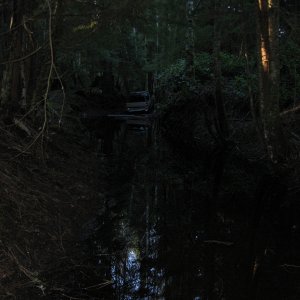 waterhole