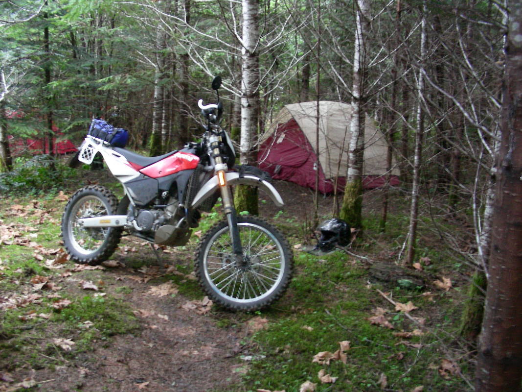 Orca_Run_042 | DualSportBC Forum