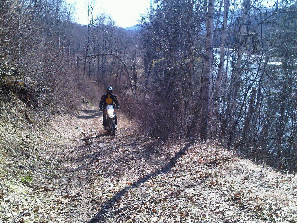 Photo 9